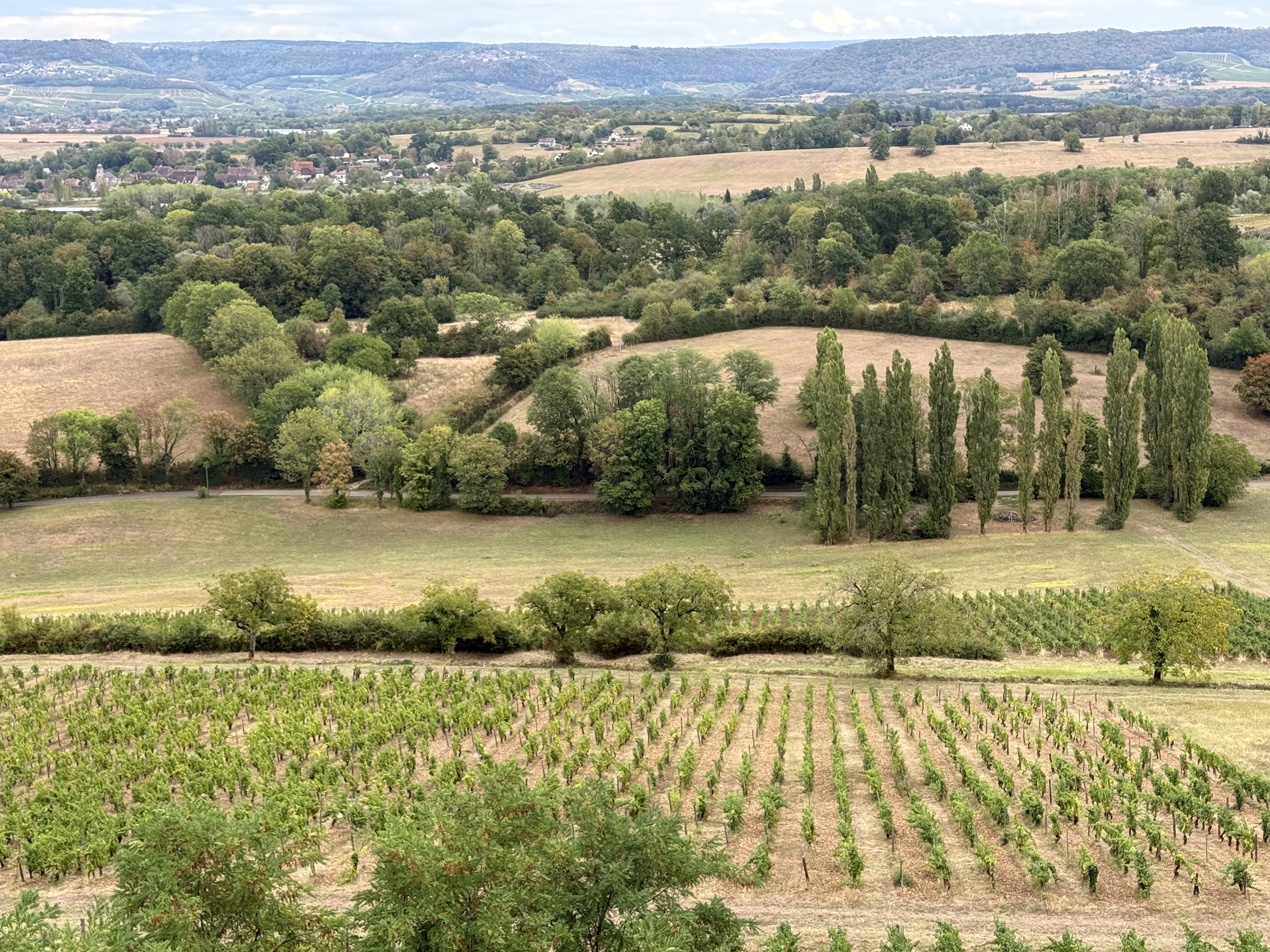 Terroirs du Jura : géologie, marnes et calcaires expliqués